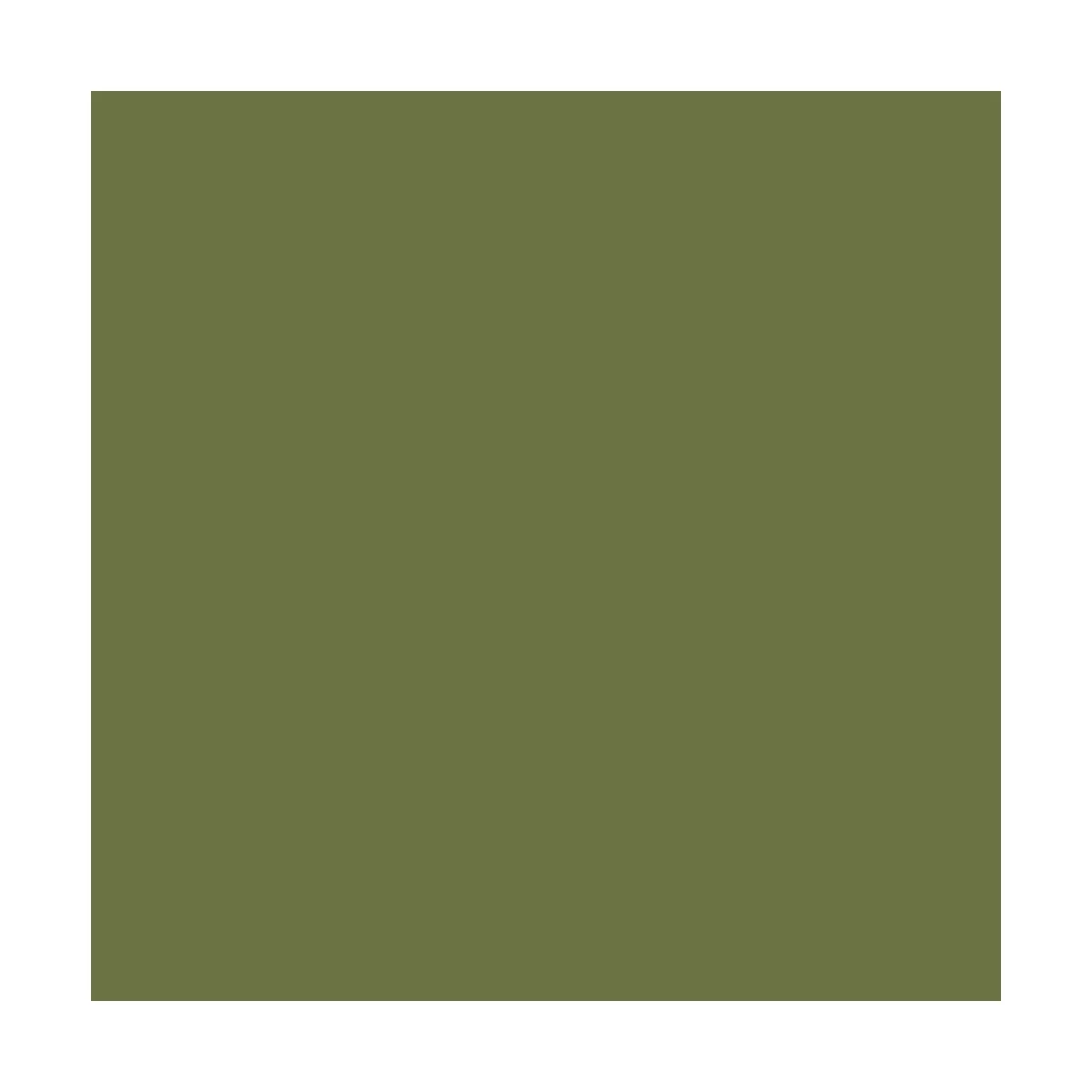 Fantasy Color Primer: Goblin Green 400 ml - Vallejo 28027 Fantasy Color Primer: Goblin Green 400 ml - Vallejo 28027