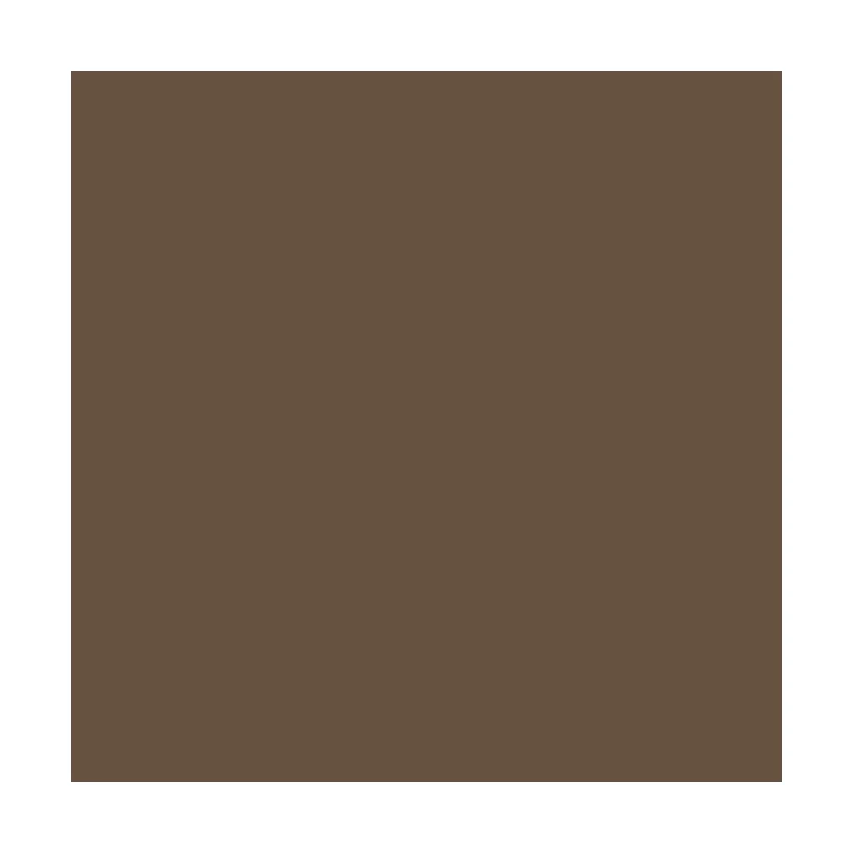 118 - Burnt Umber 18 ml - Vallejo 70941