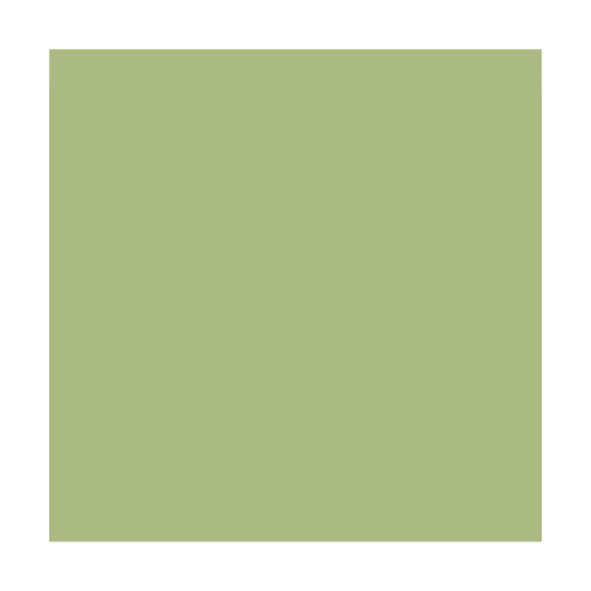 Model Air: Eau de Nil Duck Egg Green 18 ml - Vallejo 71009 Model Air: Eau de Nil Duck Egg Green 18 ml - Vallejo 71009