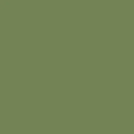 Model Air: Pale Green 18 ml - Vallejo 71095
