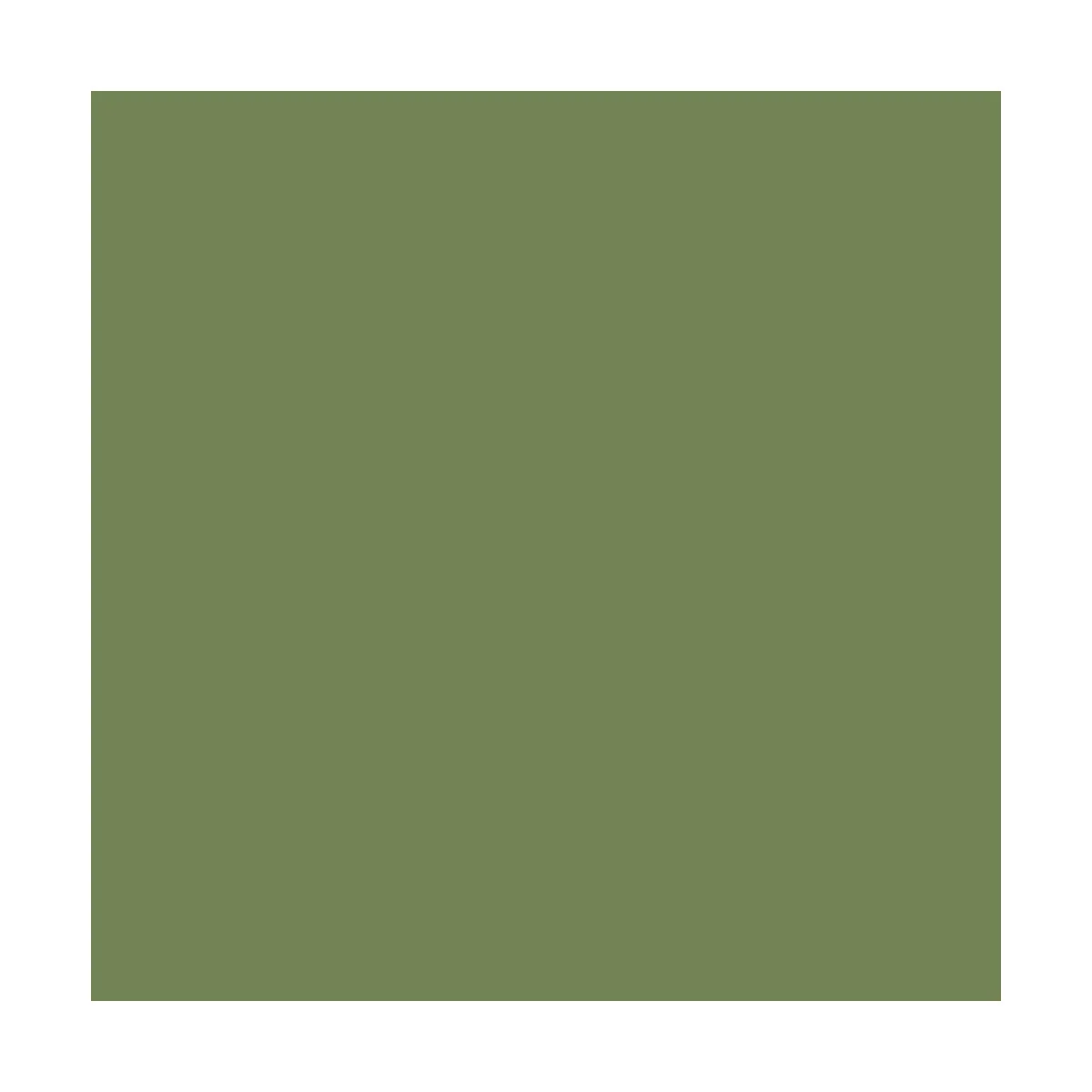Model Air: Pale Green 18 ml - Vallejo 71095 Model Air: Pale Green 18 ml - Vallejo 71095