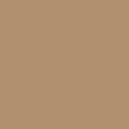 Model Air: Brown RAL8020 18 ml - Vallejo 71117