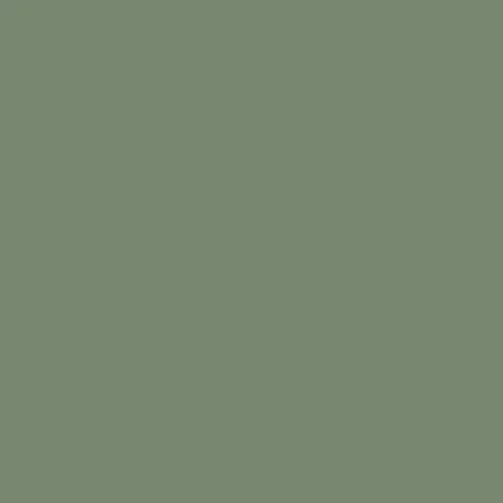 Model Air: IDF Green 18 ml - Vallejo 71126