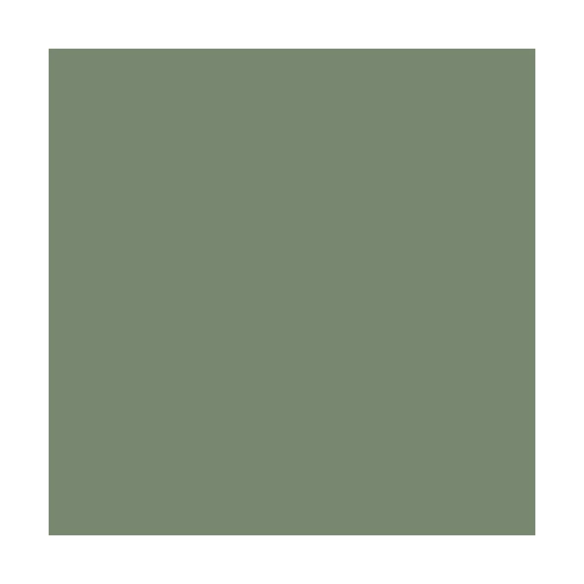 Model Air: IDF Green 18 ml - Vallejo 71126 Model Air: IDF Green 18 ml - Vallejo 71126