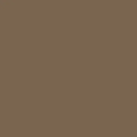 Model Air: IJA Earth Brown 18 ml - Vallejo 71136