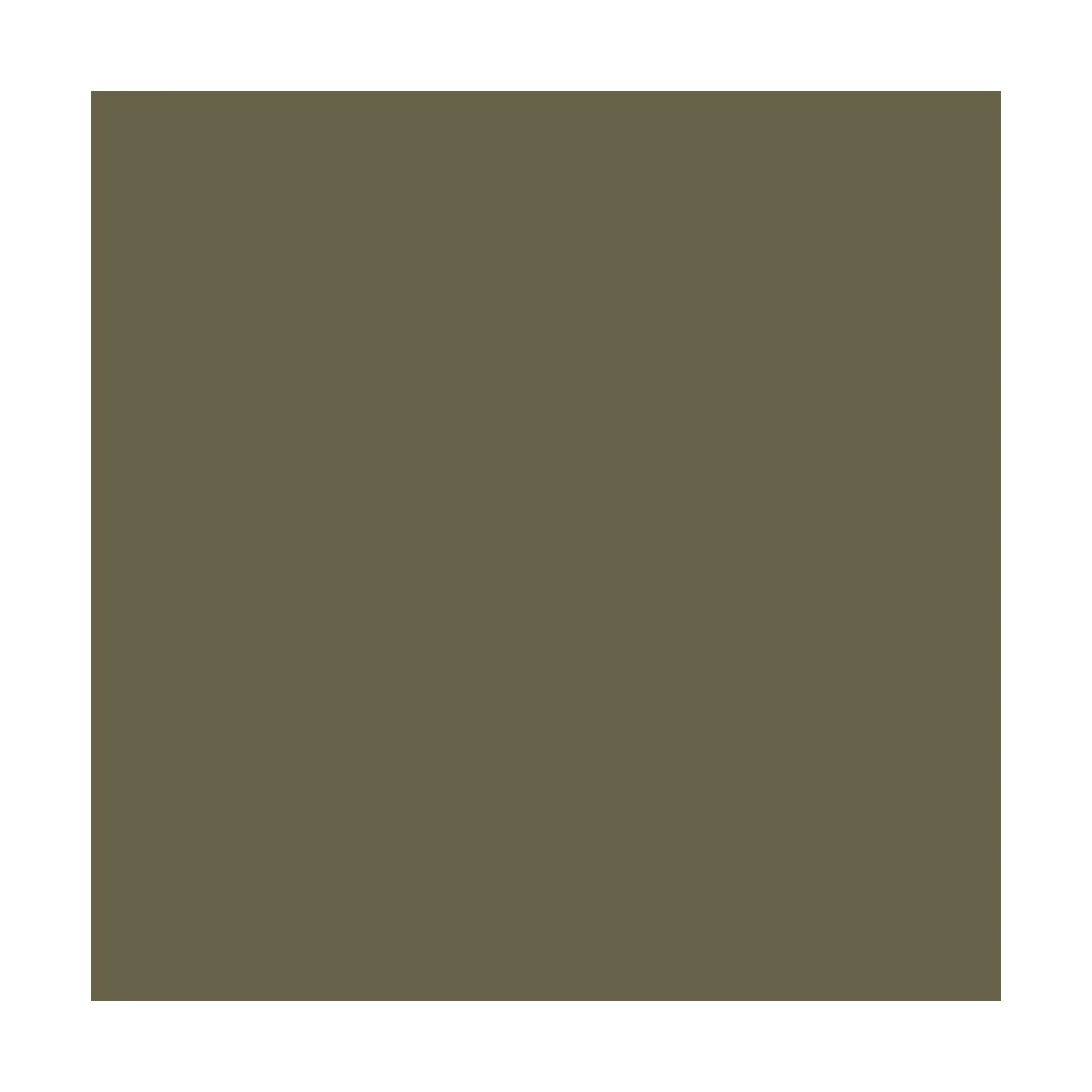 Model Air: Light Olive RAL6040 18 ml - Vallejo 71247 Model Air: Light Olive RAL6040 18 ml - Vallejo 71247