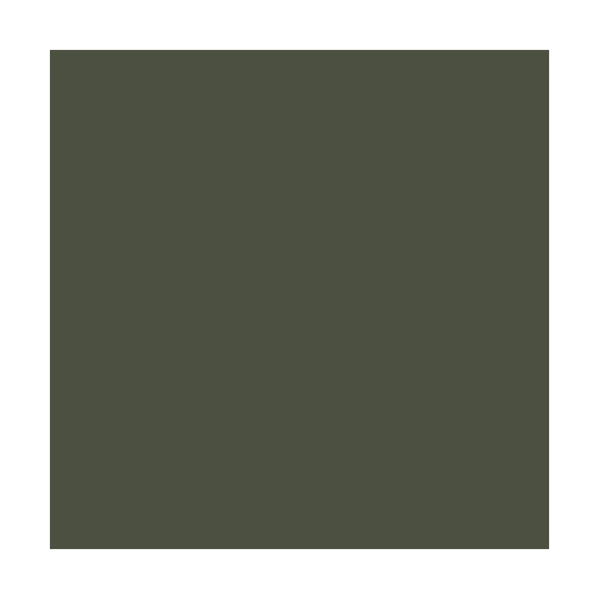 Model Air: Olive Green RLM80 18 ml - Vallejo 71265