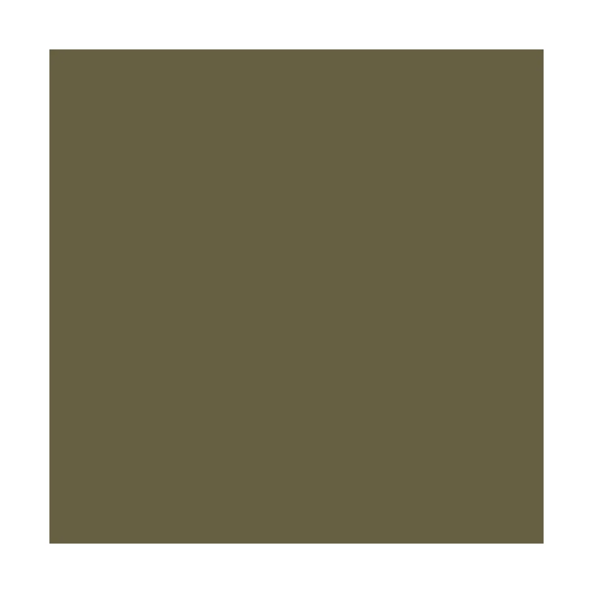 Model Air: AMT4 Camouflage Green 18 ml - Vallejo 71301 Model Air: AMT4 Camouflage Green 18 ml - Vallejo 71301
