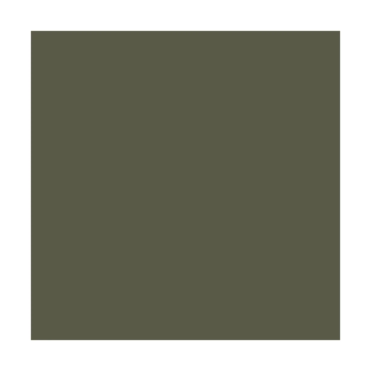 Model Air: A24M Camouflage Green 18 ml - Vallejo 71303 Model Air: A24M Camouflage Green 18 ml - Vallejo 71303