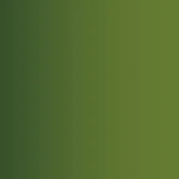 Orc Skin 18 ml - Vallejo 72415