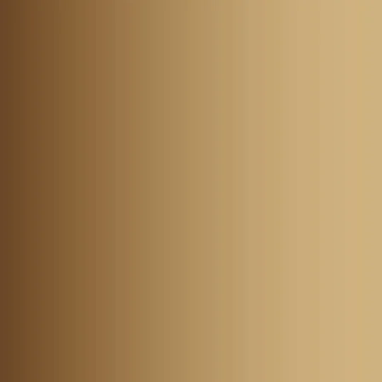 Bag of Bones 18 ml - Vallejo 72450