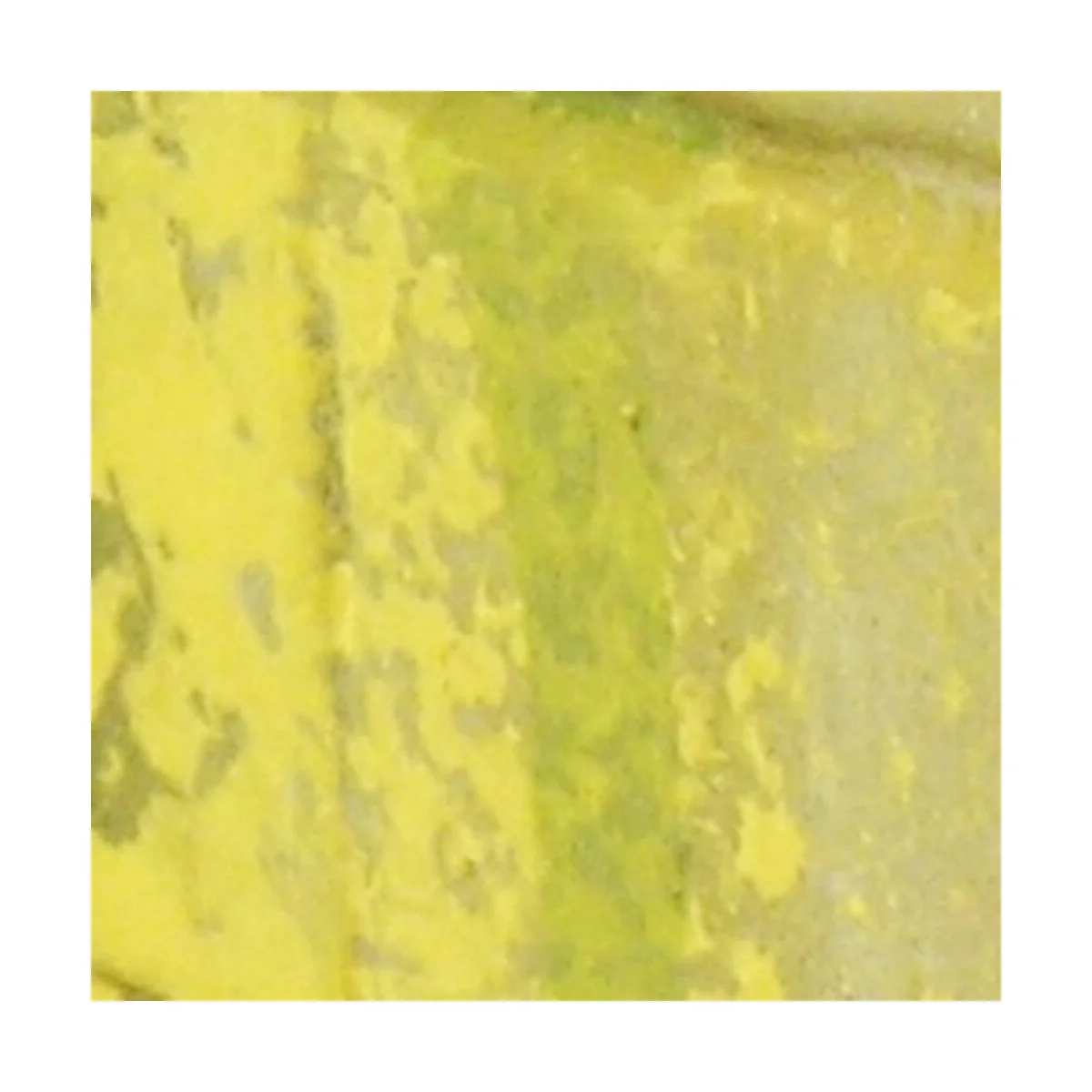 Moss and Lichen 18 ml - Vallejo 72611 Moss and Lichen 18 ml - Vallejo 72611