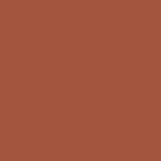Burnt Sienna 35 ml - Vallejo 73106