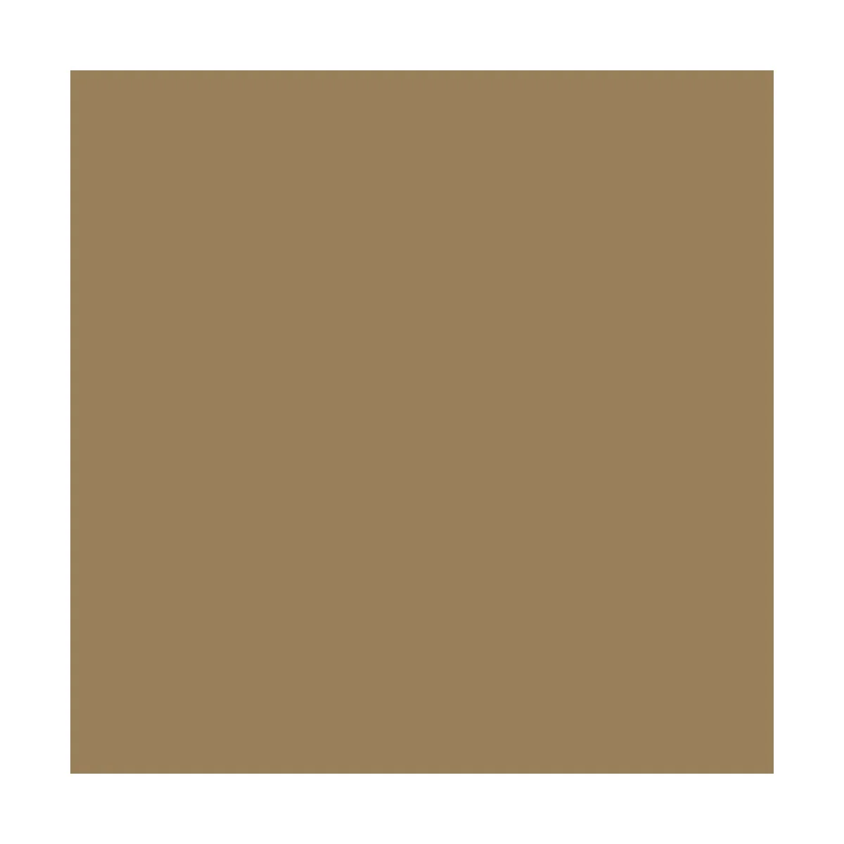 Natural Umber 35 ml - Vallejo 73109 Natural Umber 35 ml - Vallejo 73109