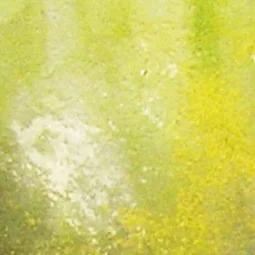 Slimy Grime Light 40 ml - Vallejo 73823