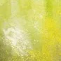 Weathering FX: Slimy Grime Light 40 ml - Vallejo 73823 Weathering FX: Slimy Grime Light 40 ml - Vallejo 73823