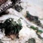 Weathering FX: Snow 40 ml - Vallejo 73820 Weathering FX: Snow 40 ml - Vallejo 73820