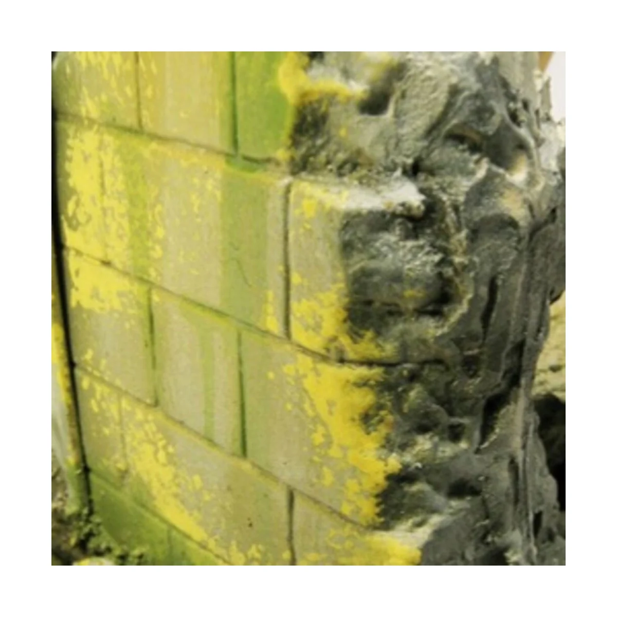 Weathering FX: Moss and Lichen Effect 40 ml - Vallejo 73827 Weathering FX: Moss and Lichen Effect 40 ml - Vallejo 73827