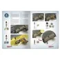 SOLUTION BOOK 19 - How to Paint WWII German D.A.K .Vehicles - (Mult...