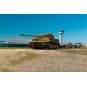 Tiger 131, restored and operated by The Tank Museum, Bovington, 1/5... Tiger 131, restored and operated by The Tank Museum, Bovington, 1/5...