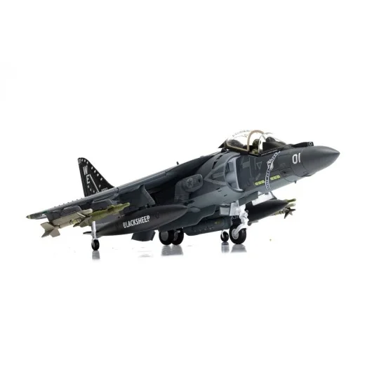 McDonnell Douglas AV-8B+ Harrier II - 165001/01 - VMA-214 'Black Sh...