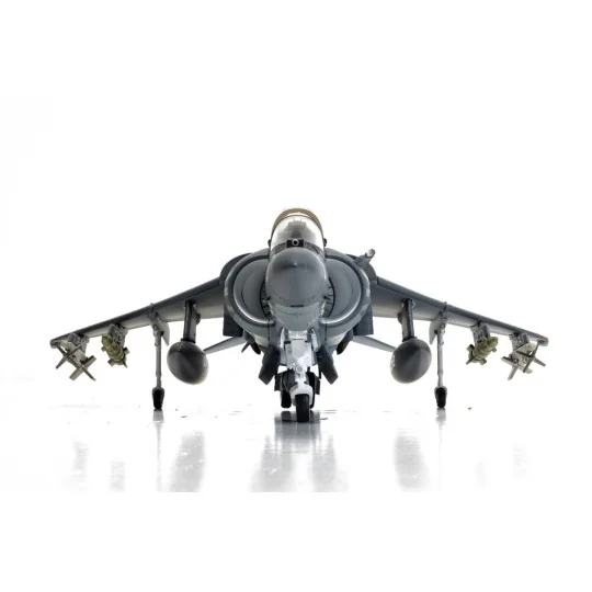 McDonnell Douglas AV-8B+ Harrier II - 165001/01 - VMA-214 'Black Sh...