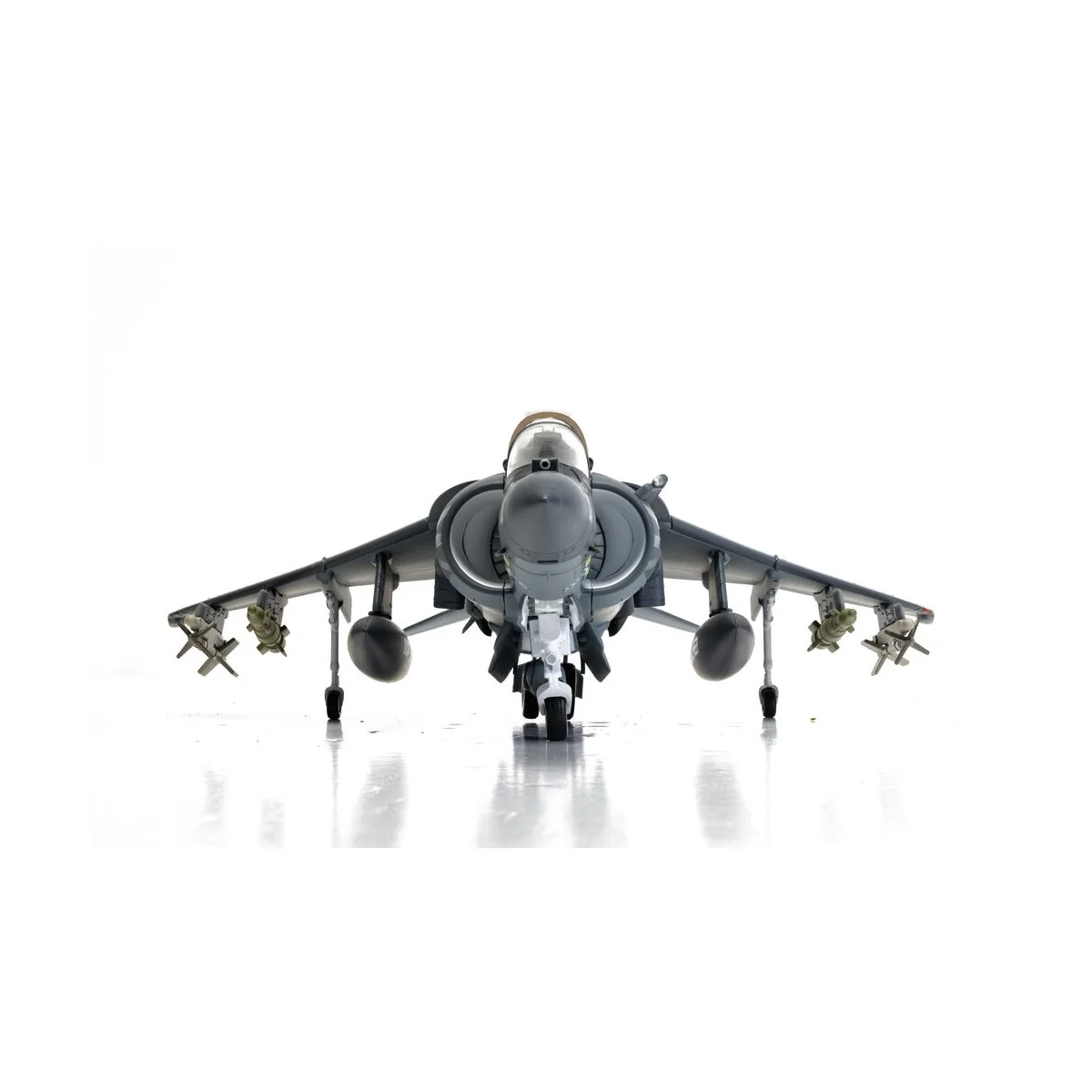 McDonnell Douglas AV-8B+ Harrier II - 165001/01 - VMA-214 'Black Sh...