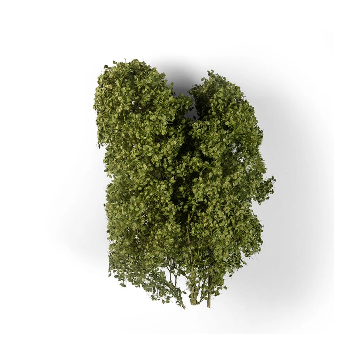 SUMMER FILIGREE BUSHES - AK Interactive AK8237