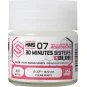 Mr Hobby -Gunze Aqueous Hobby Colors (10 ml) 30 MINUTES SISTERS Cle...