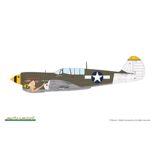 P-40N Warhawk, 1/48 - Eduard Plastic Kits 84210
