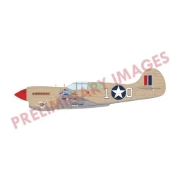P-40K Warhawk DUAL COMBO, 1/48 - Eduard Plastic Kits R0024