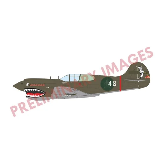 P-40K Warhawk DUAL COMBO, 1/48 - Eduard Plastic Kits R0024 P-40K Warhawk DUAL COMBO, 1/48 - Eduard Plastic Kits R0024