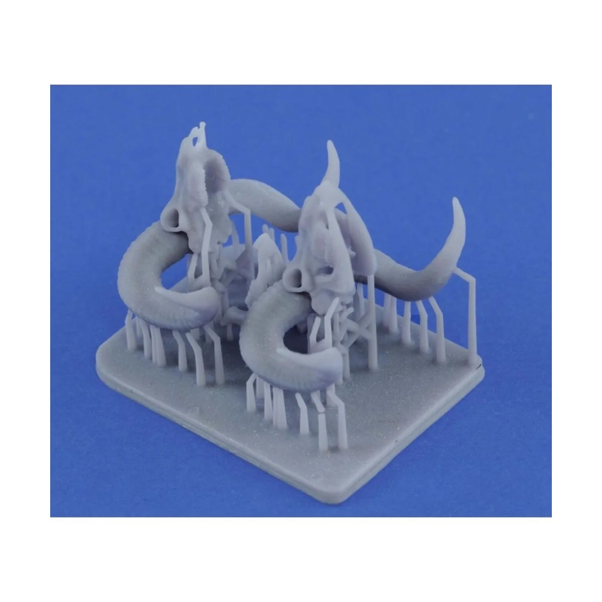 Mufflon skulls 3D printed, 1/35 - Royal Model RM1052