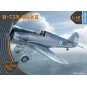 H-75O Hawk, 1/48 - Clear Prop Models CP4803 H-75O Hawk, 1/48 - Clear Prop Models CP4803