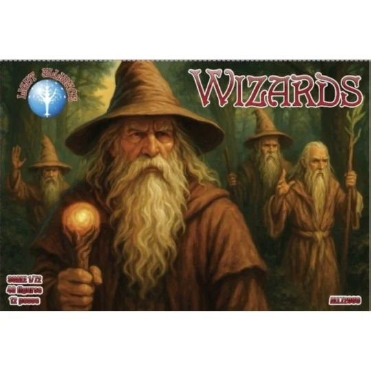 Wizards, 1/72 - ALLIANCE ALL72069