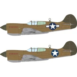 P-40K US national insignia for Eduard, 1/48 - Eduard Accessories EX...